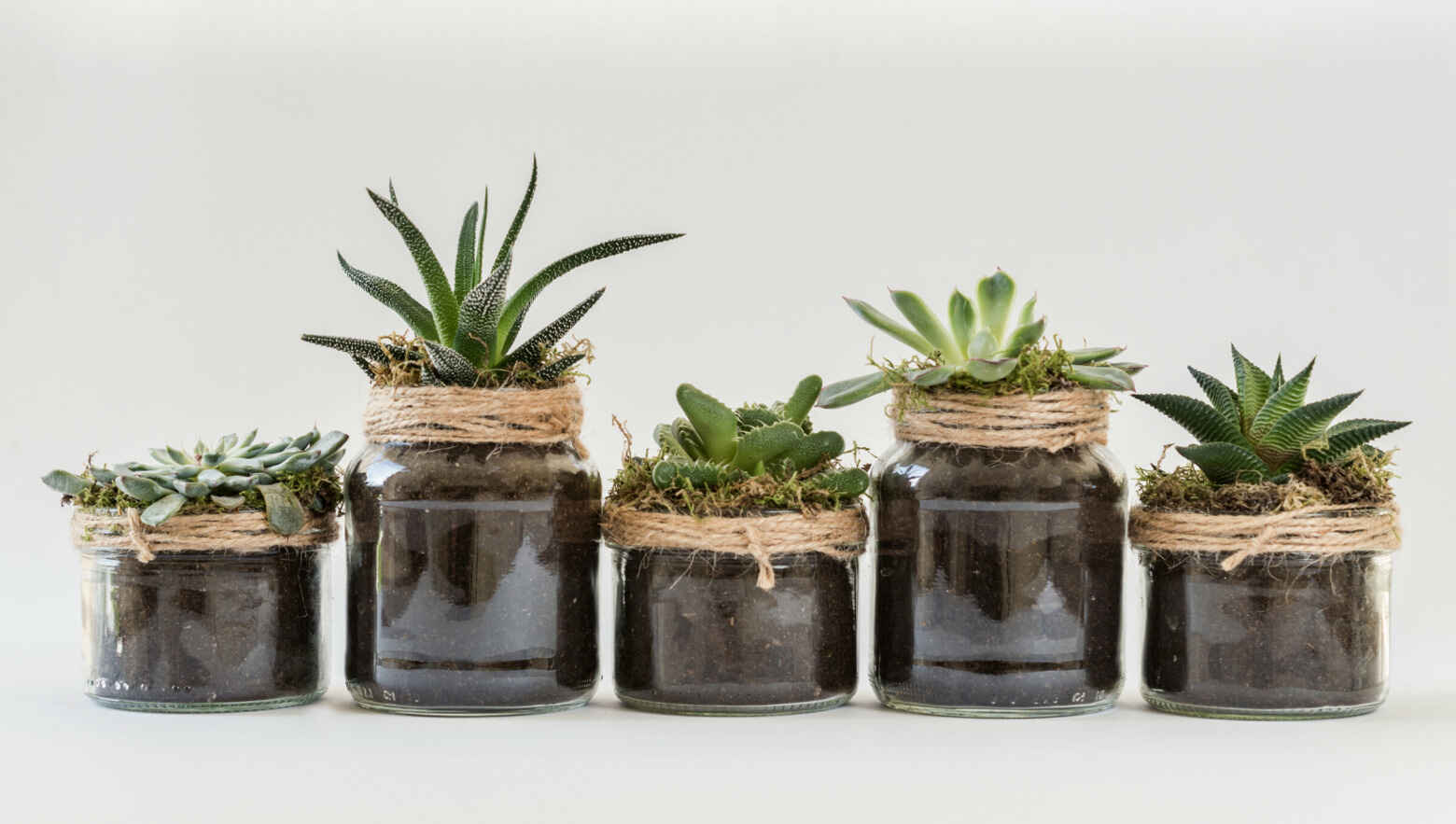 Used candle jars being used as vases for plants.