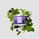 Blackberries & Basil 3-Wick Jar Candle - PartyLite US