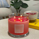 Blood Orange Bellini 3-Wick Jar Candle - PartyLite US