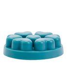 Blueberry Lemonade Scent Plus® Heart Wax Melts - PartyLite US