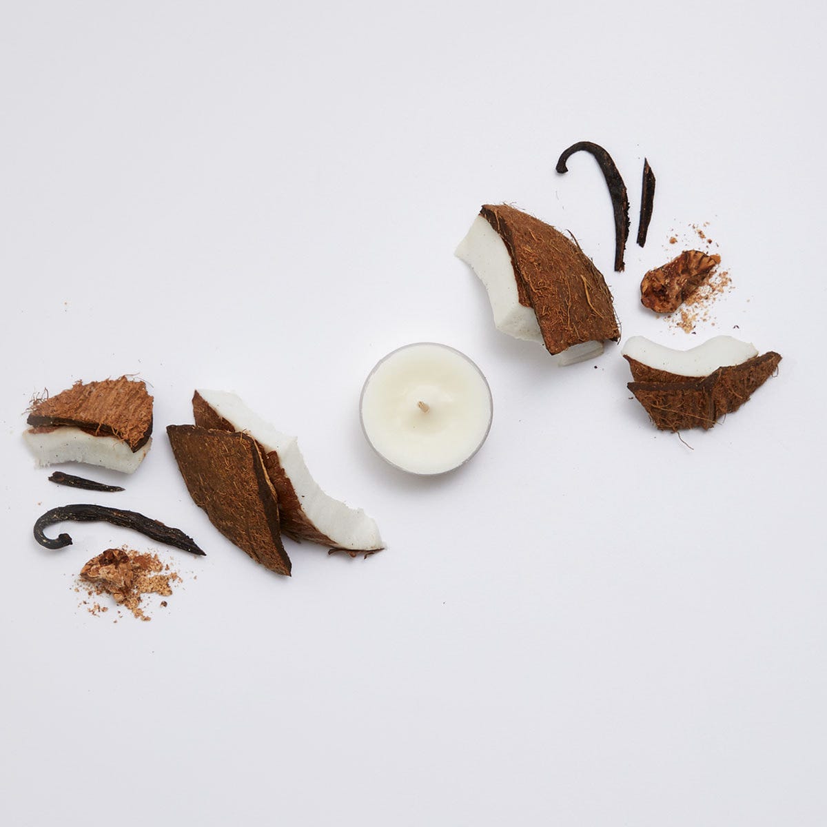 Coconut Eggnog Universal Tealight® Candles - PartyLite US