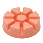 Coral Blossom Scent Plus Melts - PartyLite US