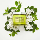 Elderflower & Mint 3 Wick Jar Candle - PartyLite US