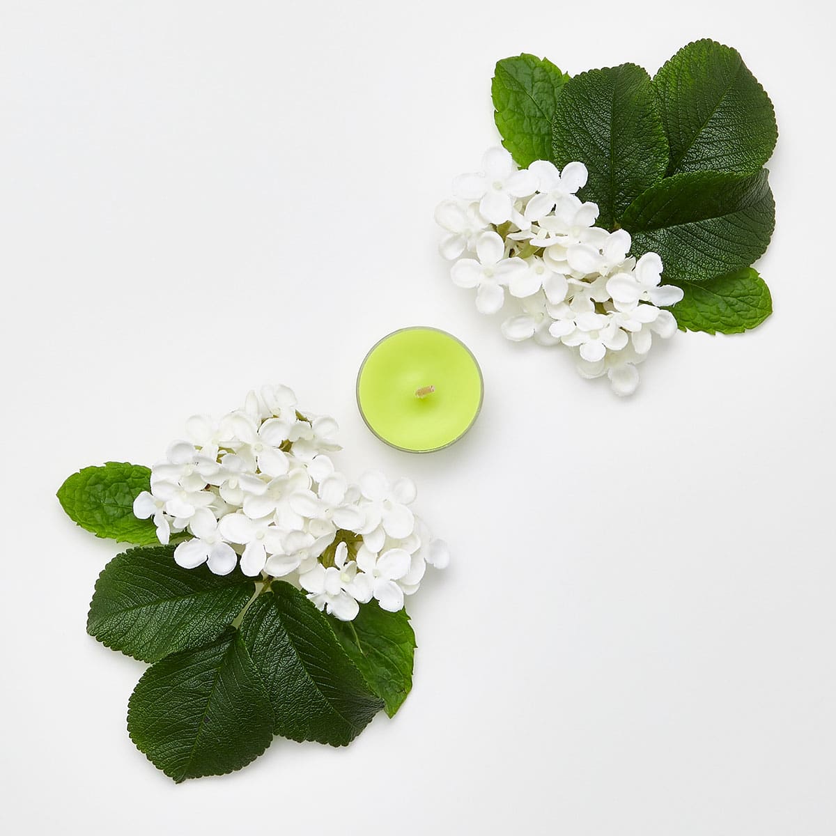 Elderflower & Mint Universal Tealight® Candles - PartyLite US