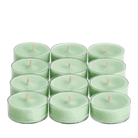 Green Tea Universal Tealight® Candles - PartyLite US