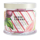 Guava Cabana 3-Wick Jar Candle - PartyLite US