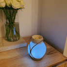 Modern Circles ScentGlow® Electric Wax Melt Warmer - PartyLite US