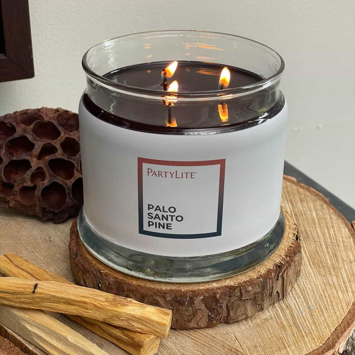 Palo Santo Pine 3-Wick Jar Candle - PartyLite US