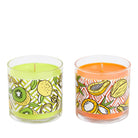 Sunshine Paradise Mini Jar Pair – Kiwi and Papaya - PartyLite US