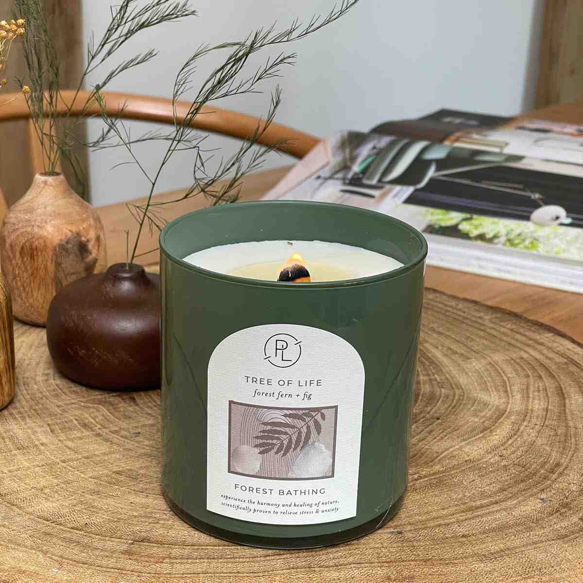 Tree of Life: forest fern + fig Jar Candle - PartyLite US