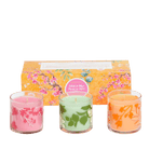 Tribute to Tokyo Jar Sampler - PartyLite US