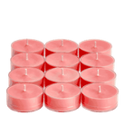 Watermelon Universal Tealight® Candles - PartyLite US